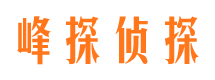 阜新找人公司